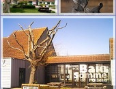 La Maison de l'oiseau à Lanchéres  